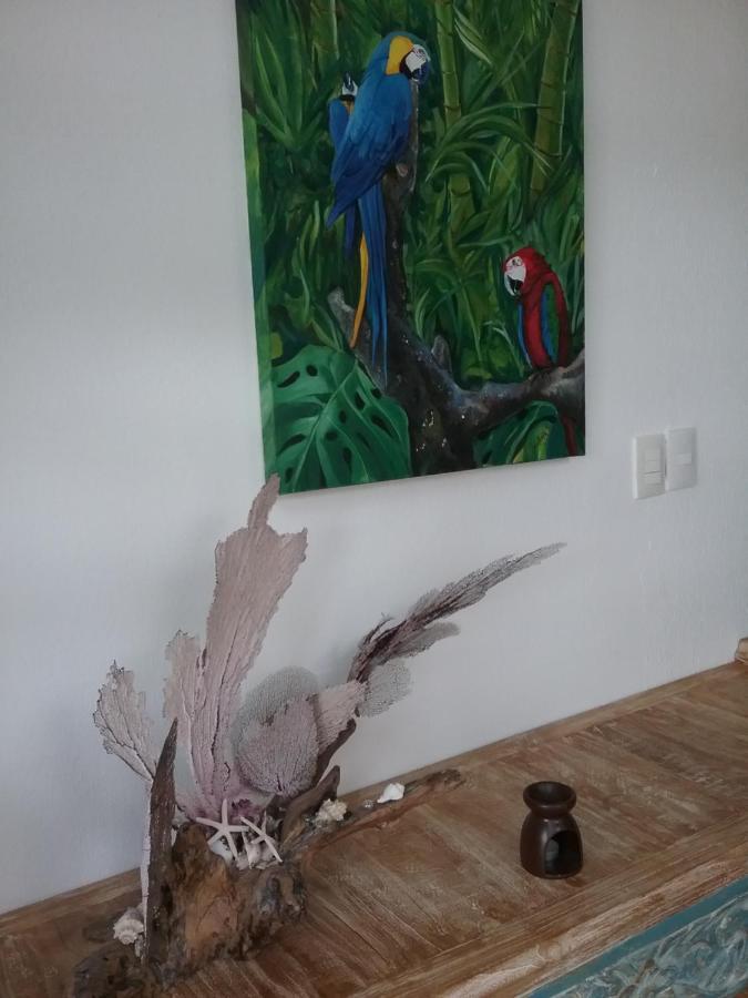 Casa Rioja Playacar Bed and Breakfast Playa del Carmen Esterno foto