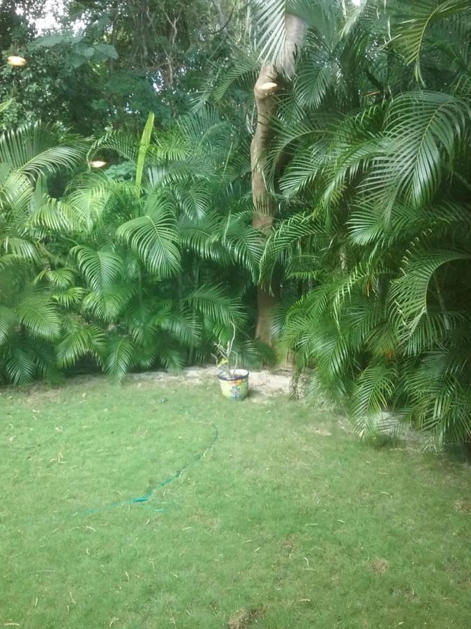 Casa Rioja Playacar Bed and Breakfast Playa del Carmen Esterno foto